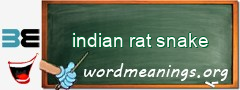 WordMeaning blackboard for indian rat snake